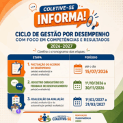 post_ciclo_gestao_desempenho