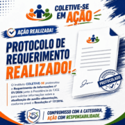 protocolo_requerimento_realizado